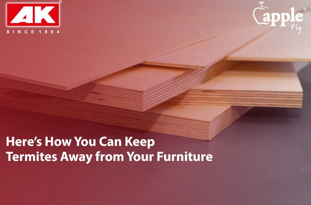 Here’s How You Can Keep Termites Away from Your Wooden Furniture