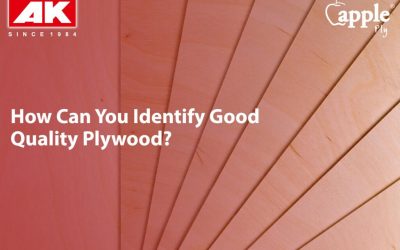 How Can You Identify the Best Quality Plywood?