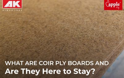 What Are Coir Ply Boards and Are They Here to Stay?