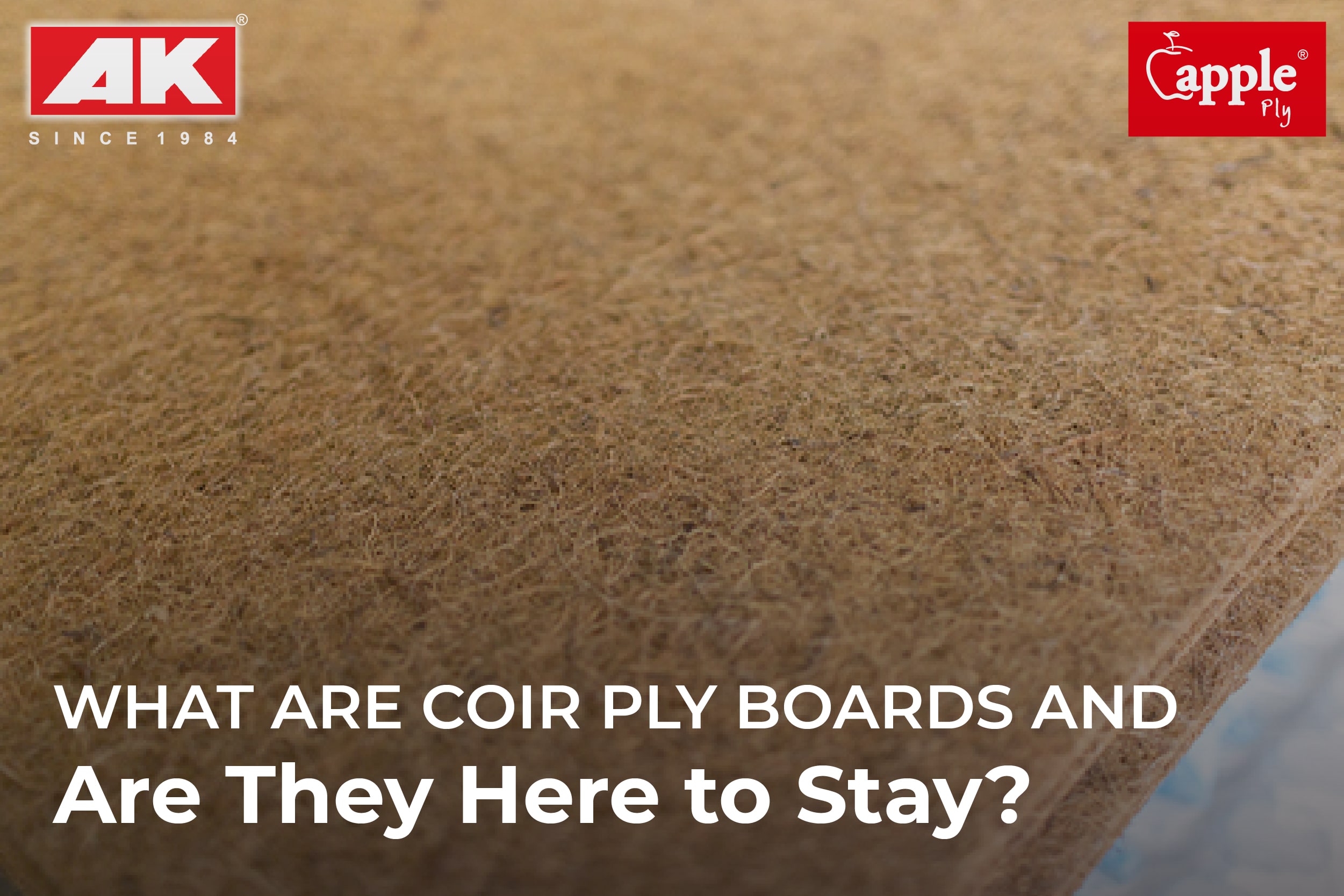 Coir Ply Boards