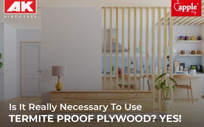 Is It Really Necessary to Use Termite Proof Plywood? Yes!