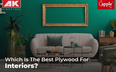 Working on an Indoor Project? Know All About the Best Plywood for Interiors