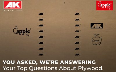 You Asked, We’re Answering: Your Top Questions About Plywood