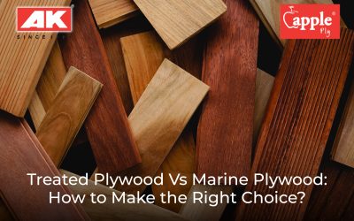 Treated Plywood Vs Marine Plywood: How to Make the Right Choice?