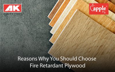 Reasons Why You Should Choose Fire Retardant Plywood