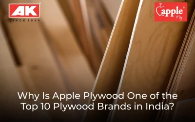 Why Is Apple Plywoods One of the Top 10 Plywood Brands in India?