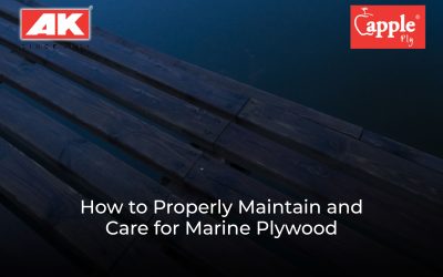 How to Properly Maintain and Care for Marine Plywood