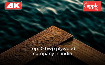 Top 10 BWP Plywood Companies in India