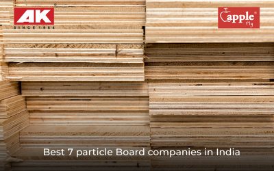 Best 7 particle Board companies in India