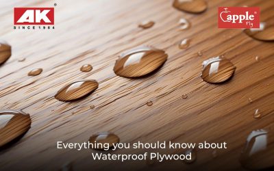 Everything You Should Know About Waterproof Plywood