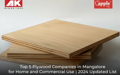 Top 5 Plywood Companies in Mangalore for Home and Commercial Use | 2024 Updated List