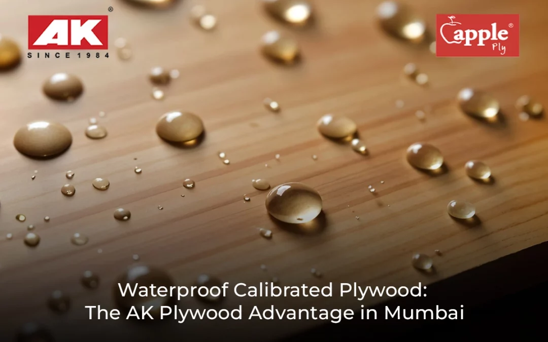 Waterproof Calibrated Plywood: The AK Plywood Advantage in Mumbai