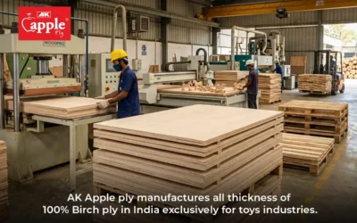 India’s Only Birch Plywood Manufacturer Specialised for the Toy Industry