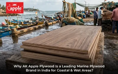 Why AK Apple Plywood Is a Leading Marine Plywood Brand in India for Coastal & Wet Areas